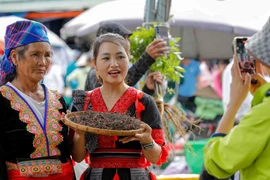 Loạt tác phẩm đoạt giải cao Giải thưởng Công nghệ từ trái tim lần 2