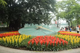 Rực rỡ sắc hoa bên Hồ Gươm. (Ảnh: Bảo Ngọc/Vietnam+)