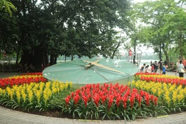 Rực rỡ sắc hoa bên Hồ Gươm. (Ảnh: Bảo Ngọc/Vietnam+)