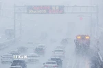 Tuyết rơi dày khiến các phương tiện phải giảm tốc độ trên cao tốc Gyeongbu, gần Osan, phía Nam Seoul, Hàn Quốc. (Ảnh: Yonhap/TTXVN)