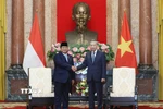 Tổng Bí thư Tô Lâm tiếp Tổng thống Indonesia Prabowo Subianto. (Ảnh: Lâm Khánh/TTXVN)