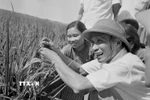 Thủ tướng Phạm Văn Đồng thăm cánh đồng lúa năng suất cao của nông dân xã Hải An, huyện Hải Châu, tỉnh Nam Hà, tháng 6/1969. (Ảnh: Đức Như/TTXVN)