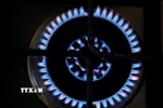 Ukraine đã mua 0,5 tỷ m3 LNG của Mỹ. (Ảnh: AFP/TTXVN)