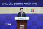 Chủ tịch nước Lương Cường phát biểu tại Hội nghị Thượng đỉnh Doanh nghiệp APEC 2025. (Ảnh: Lâm Khánh/TTXVN)