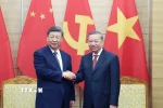 Tổng Bí thư Tô Lâm và Tổng Bí thư, Chủ tịch nước Trung Quốc Tập Cận Bình. (Ảnh: Thống Nhất/TTXVN)