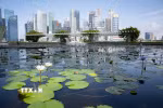 Quang cảnh Vịnh Marina, Singapore. (Ảnh: THX/TTXVN)