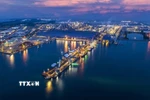 Cảng tổng hợp Công ty cổ phần Hòa Phát Dung Quất nằm trong khu kinh tế Dung Quất. (Ảnh: TTXVN phát)