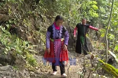 Người Mông Pà Cò giữ rừng để phát triển du lịch bền vững