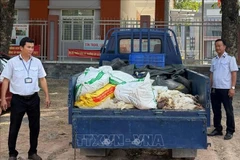 Ảnh minh họa. (Nguồn: TTXVN)