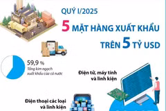 Quý 1/2025, 5 mặt hàng xuất khẩu trên 5 tỷ USD