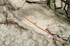 Xói lở cát làm lộ thiên ống điện ngầm. (Ảnh: Lê Phước Ngọc/TTXVN)