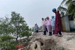 Đoàn công tác khảo sát khu vực sạt lở ven Sông Cổ Chiên. (Ảnh : Phúc Sơn/TTXVN)