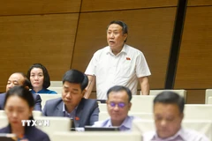 Đại biểu Quốc hội tỉnh Quảng Trị Hà Sỹ Đồng phát biểu. (Ảnh: Doãn Tấn/TTXVN)