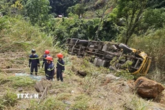 Hiện trường vụ tai nạn giao thông trên đèo Bảo Lộc (đoạn qua xã Đạ Huoai 2, Lâm Đồng) xảy ra trưa 3/2. (Ảnh: TTXVN phát)