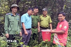 Ông Trần Ngọc Khiêm (trú tại xã Quảng Tín, tỉnh Lâm Đồng) bàn giao Cu li nhỏ (tên khoa học: Nycticebus pygmaeus) cho cơ quan chức năng thả về với môi trường tự nhiên. (Ảnh: TTXVN)