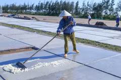 Diêm dân thu gom muối trên sân phơi. (Ảnh: Công Luật/TTXVN)