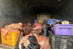 Sản phẩm động vật có dấu hiệu không bảo đảm vệ sinh thú y.