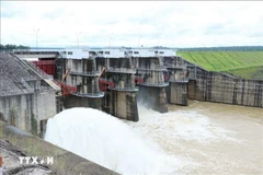 Đập thủy điện của nhà máy thủy điện Buôn Kuốp điều tiết nguồn nước. (Nguồn: TTXVN)