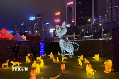 Không gian của lễ hội lung linh huyền ảo. (Ảnh: Mạc Luyện/TTXVN)