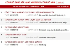 Công bố bảng xếp hạng VNR500 kỳ công bố Năm 2025.