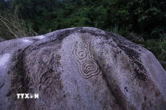 Khối đá có một hình vẽ gợi nhiều hình ảnh liên tưởng. (Ảnh: Trọng Đạt/TTXVN)