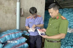 Cơ quan chức năng kiểm tra kho muối thành phẩm của đối tượng. Ảnh: TTXVN phát