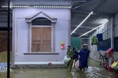 Thời điểm này, bà con vừa thu hoạch lúa Xuân nên mưa lụt đã gây thiệt hại khá lớn. (Ảnh: TTXVN)