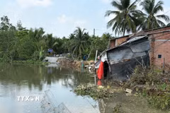 Hiện trường vụ sạt lở nghiêm trọng đã xảy ra trên tuyến đường Đông sông Phú An, thuộc xã Bình Phú, tỉnh Đồng Tháp. (Ảnh: Công Trí/TTXVN)