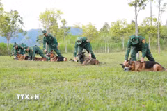 Những “chiến binh đặc biệt” nơi miền biên viễn Lai Châu 