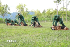 Những “chiến binh đặc biệt” nơi miền biên viễn Lai Châu 