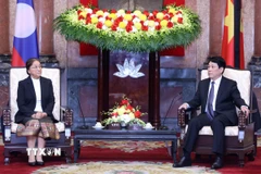 Chủ tịch nước Lương Cường tiếp Phó Chủ tịch nước Lào Pany Yathotou. (Ảnh: Lâm Khánh/TTXVN)