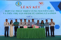 Viện Lúa Đồng bằng sông Cửu Long và Công ty TNHH Tập đoàn Vương Đình ký kết hợp tác cùng phát triển sản xuất khoảng 200.000ha lúa OM19 tại Đồng bằng sông Cửu Long nhằm xây dựng thương hiệu “Gạo Cần Thơ”. (Ảnh: Thu Hiền/TTXVN)