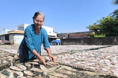 Bà Nguyễn Thị Em, hộ làm cá khô tại làng nghề cá khô Bình Thắng (xã Bình Đại, tỉnh Vĩnh Long). (Ảnh: Huỳnh Phúc Hậu/TTXVN)