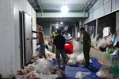 Sản phẩm động vật đông lạnh không có hóa đơn, chứng từ chứng minh nguồn gốc xuất xứ hợp pháp được lực lượng chức năng phát hiện. (Ảnh: TTXVN phát)