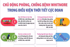 Chủ động phòng, chống bệnh Whitmore trong điều kiện thời tiết cực đoan 