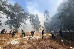 Trước diễn biến thời tiết còn nhiều cực đoan, nắng nóng đang kéo dài, nguy cơ cháy rừng tại Quảng Trị tiếp tục ở mức cao, đòi hỏi các cấp, ngành và người dân không được chủ quan, lơ là trong công tác phòng ngừa. (Ảnh: TTXVN phát)