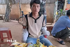 Đối tượng Giàng Seo Hòa cùng tang vật. (Ảnh: TTXVN phát)