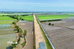 Công trình thi công cao tốc băng qua cánh đồng lúa trên địa bàn xã Vĩnh Hanh, tỉnh An Giang. (Ảnh: Thanh Sang/TTXVN)