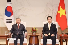 Tổng Bí thư Tô Lâm hội đàm hẹp với Tổng thống Hàn Quốc Lee Jae Myung. (Ảnh: Thống Nhất/TTXVN)