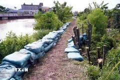 Đoạn bờ bao Cống Cù Là (xã Hồng Vũ, tỉnh Hưng Yên) đã được ứng cứu, khắc phục xong sự cố tràn bờ ngay trong chiều cùng ngày. (Ảnh: Nguyễn Công Hải/TTXVN)