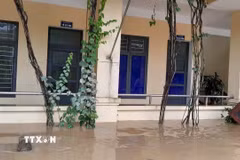 Trường Tiểu học Lưu Kiền 2 (xã Tương Dương) bị ngập trong mưa lũ. (Ảnh: TTXVN phát)