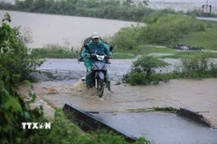 Mưa lớn. (Ảnh: Trọng Đạt/TTXVN)