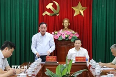 Ông Võ Tấn Đức, Phó Bí thư Tỉnh ủy Đồng Nai phát biểu tại cuộc họp. (Ảnh: Công Phong/TTXVN)