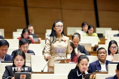 Đại biểu Quốc hội tỉnh Lâm Đồng Trịnh Thị Tú Anh phát biểu. (Ảnh: Doãn Tấn/TTXVN)