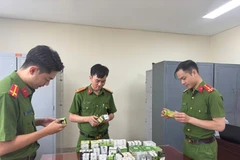 Phòng Cảnh sát kinh tế triệt phá một đường dây sản xuất, buôn bán thực phẩm chức năng giả. (Ảnh: TTXVN phát)