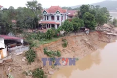 Yêu cầu xử lý khẩn cấp sự cố sạt lở bờ sông Lô 