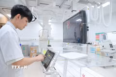 Bác sỹ sử dụng hệ thống được tích hợp các công nghệ trí tuệ nhân tạo (AI), hỗ trợ tái tạo hình ảnh, lập bản đồ mạch máu, giúp xác định chính xác vị trí tổn thương, lựa chọn phương án điều trị tối ưu và nâng cao hiệu quả can thiệp cho người bệnh. (Ảnh: Minh Quyết/TTXVN)