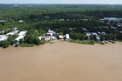 Khu vực sạt lở bờ sông Tiền tại khóm Tân Tịch, phường Cao Lãnh. (Ảnh: Nhựt An/TTXVN)