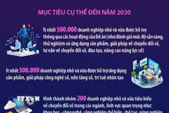 Nâng cao mức độ sẵn sàng, năng lực chuyển đổi số của doanh nghiệp nhỏ 