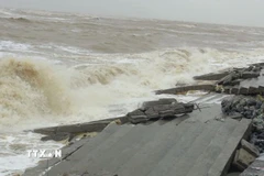 Tuyến kè biển, vừa hoàn thành và đang chuẩn bị các thủ tục bàn giao, bị sóng biển đánh sập hàng trăm mét, thân kè bị đứt gãy, nhiều mảng bêtông lớn bị sập lún, gãy đổ kê lên nhau ngổn ngang.